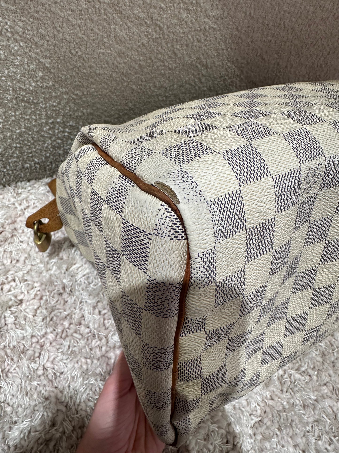 Sac Speedy Louis Vuitton 30