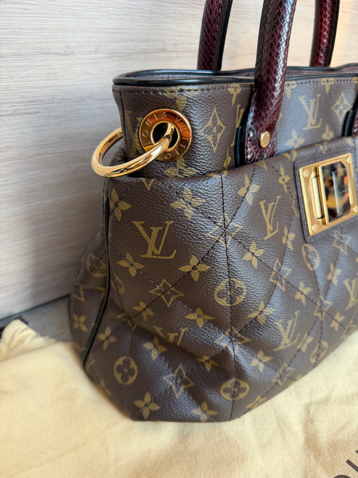 Sac Louis Vuitton en python et cuir d’autruche 15/08