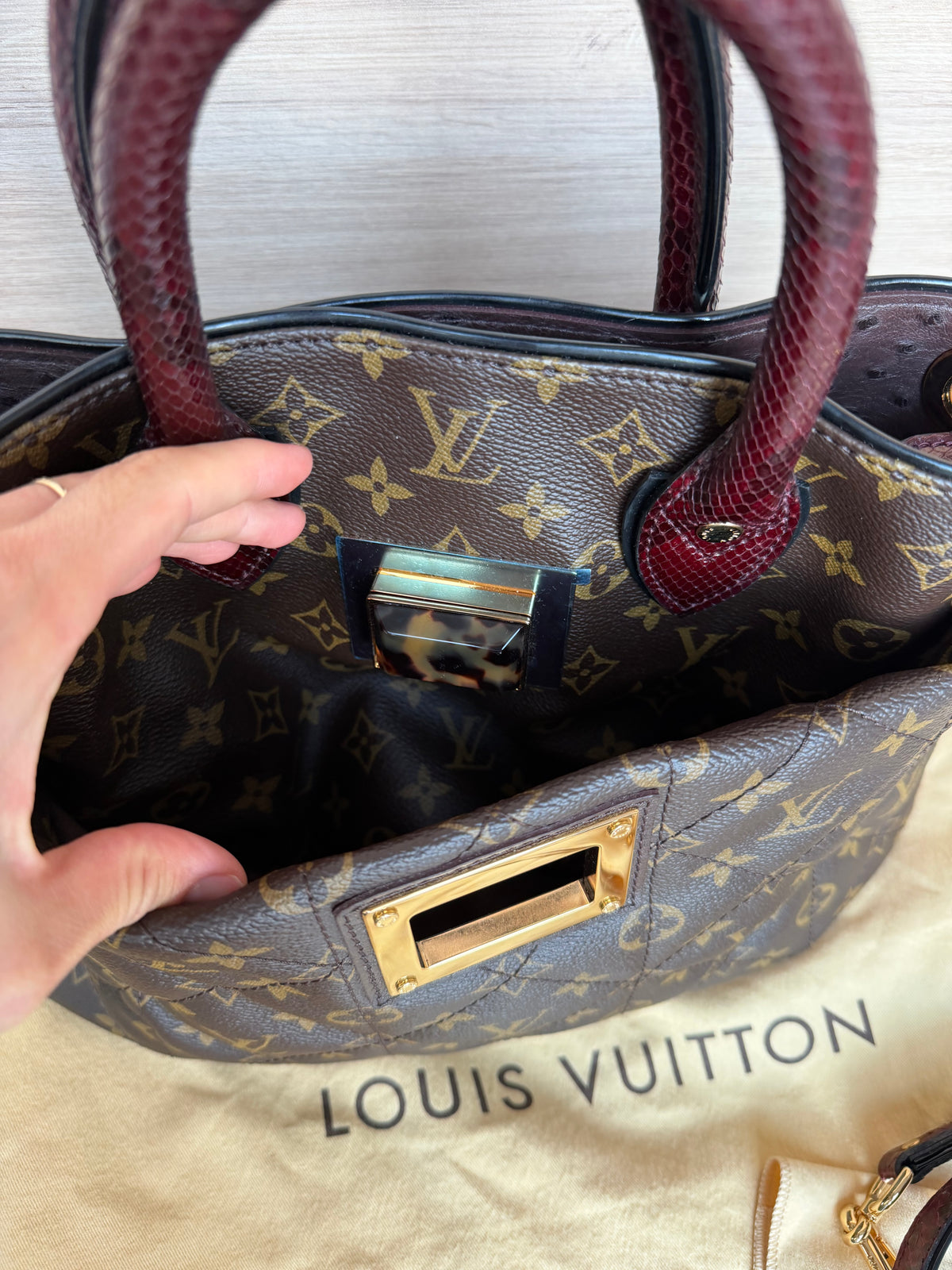 Sac Louis Vuitton en python et cuir d’autruche 15/08