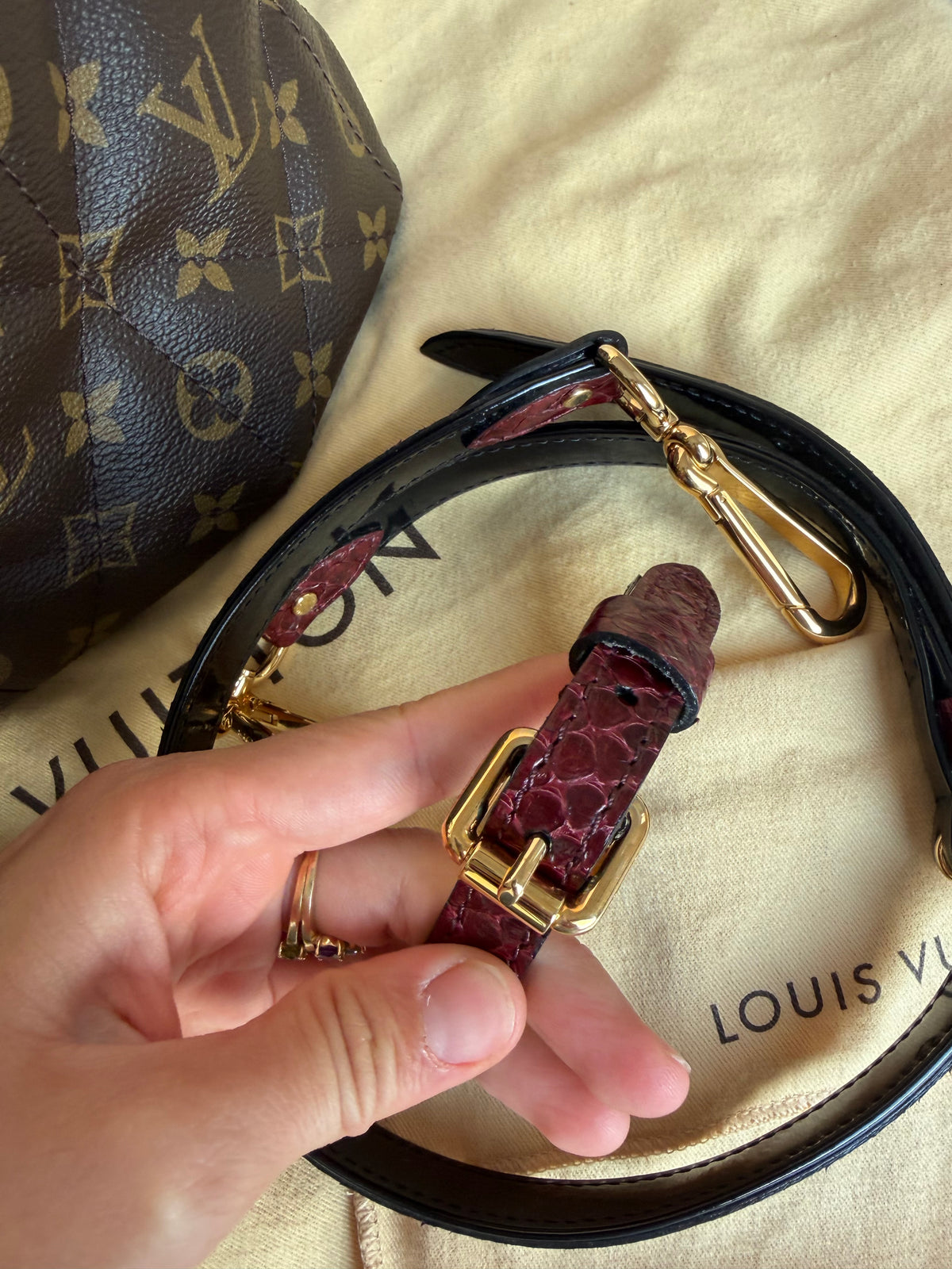 Sac Louis Vuitton en python et cuir d’autruche 15/08