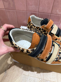 Baskets caval T.37