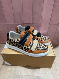 Baskets caval T.37