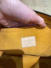 Sac noé Louis Vuitton Speedy