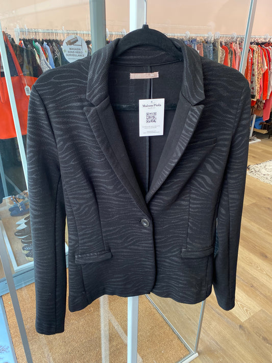 Blazer LPB T.S