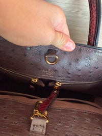 Sac Louis Vuitton en python et cuir d’autruche 15/08