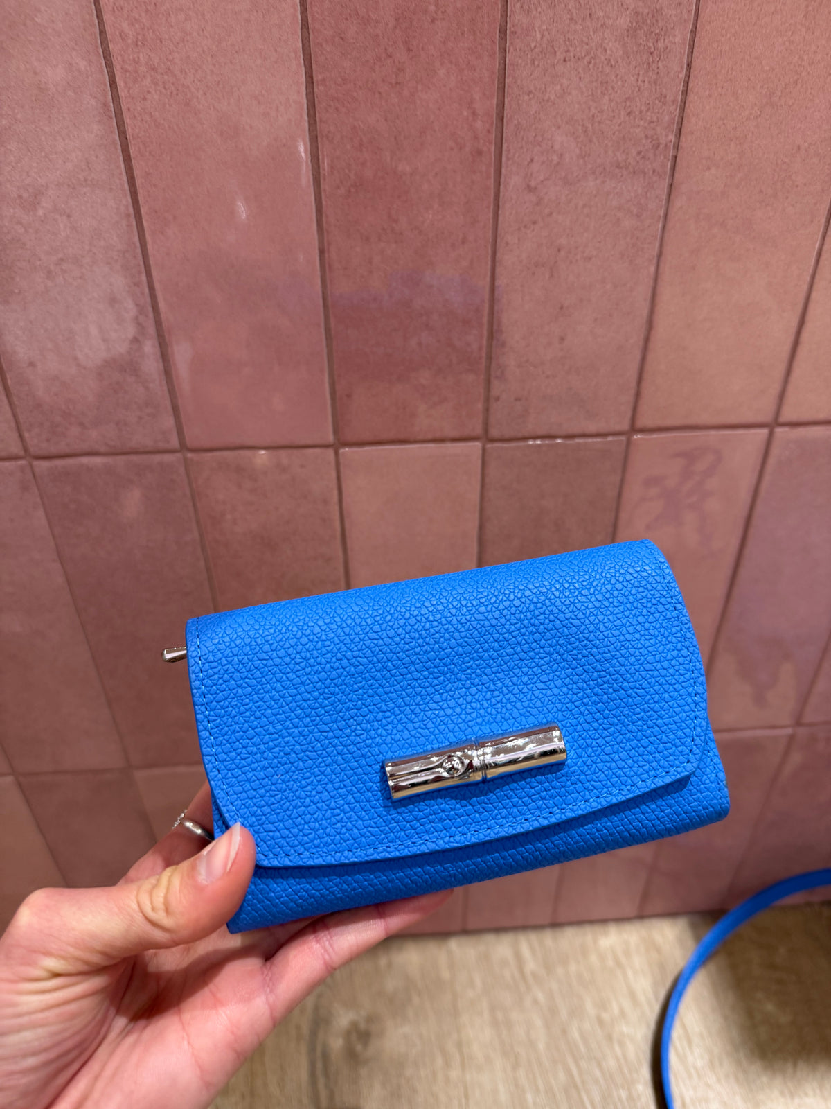 Compagnon Longchamp, bleu
