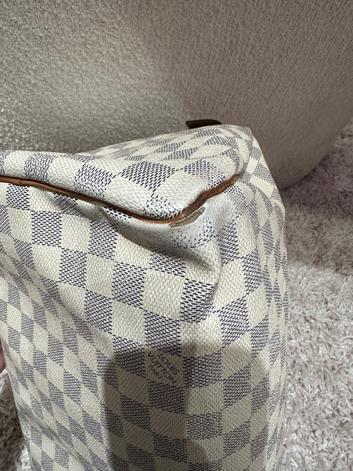 Sac Speedy Louis Vuitton 30