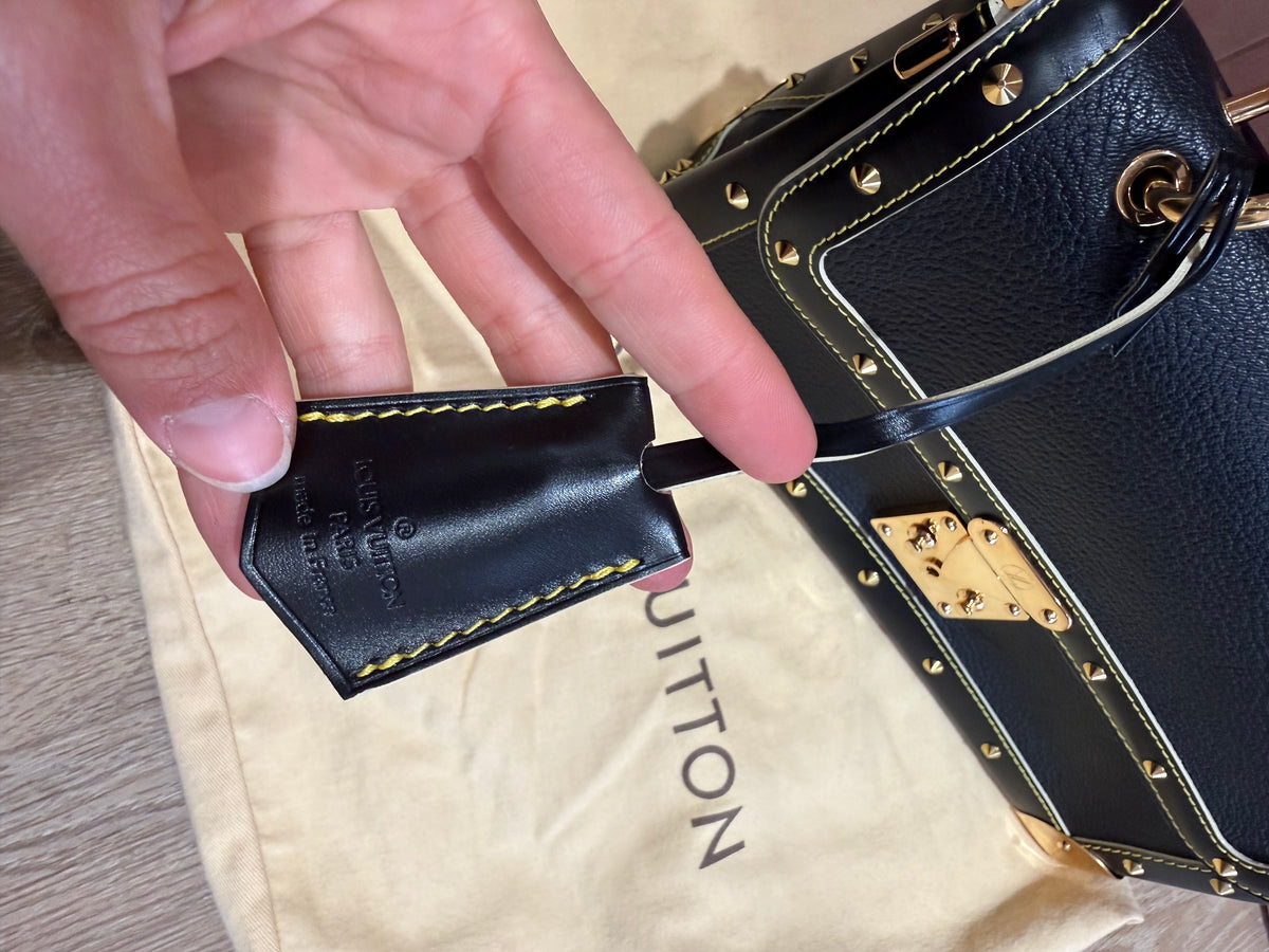 Sac Louis Vuitton le talentueux