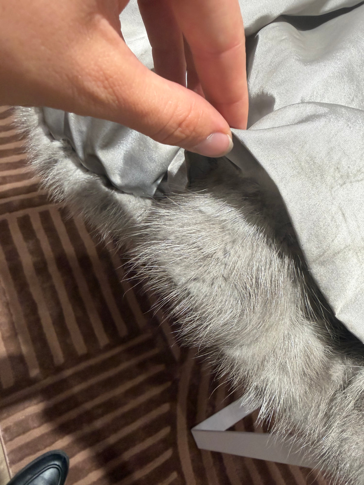 Manteau en vison gris taille 38 26/08