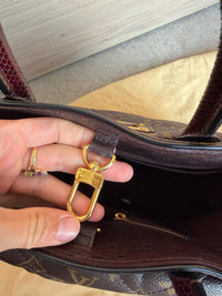 Sac Louis Vuitton en python et cuir d’autruche 15/08