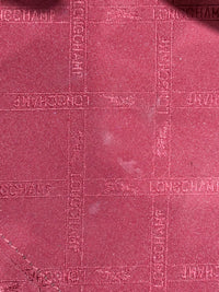 Sac Longchamp + compagnon rouge 22/10