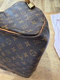 Sac speedy monogramme 30