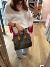 Sac speedy monogramme 30