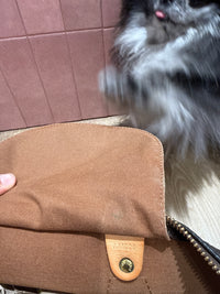 Sac speedy 35 monogramme