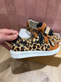 Baskets caval T.37