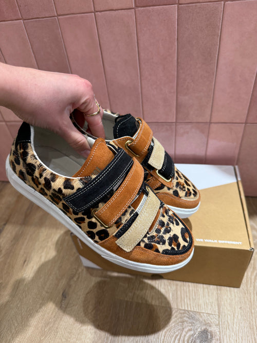 Baskets caval T.37