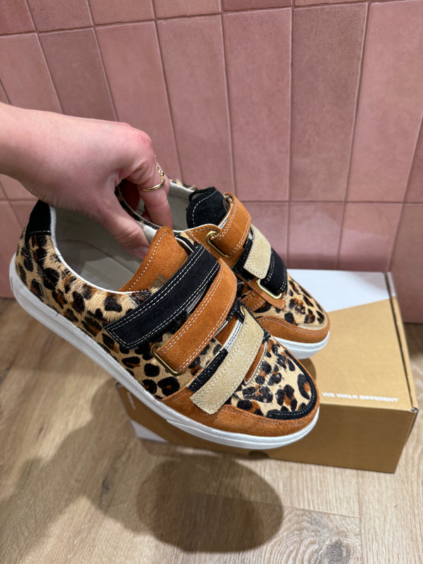 Baskets caval T.37